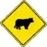 beware of cattle on road warning sign